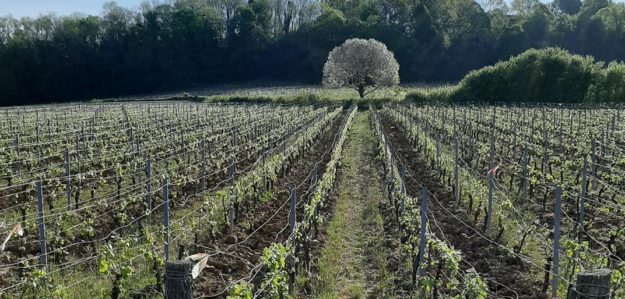 Domaine Ratte Domaine Ratte